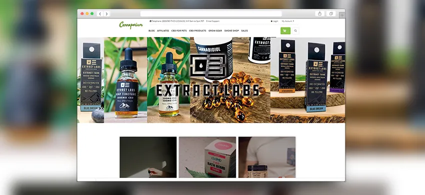 CBD Magento Store Development Agency