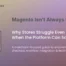 Magento performance issues guide showing eCommerce store optimization, checkout speed, workflow and technical audit